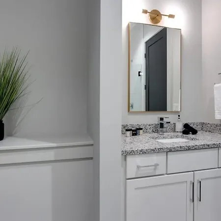New East Oasis 13beds Roofdeck Free Parking Holiday home Nashville