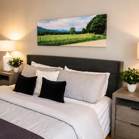 Charming Sylvan Park Relax & Nashville