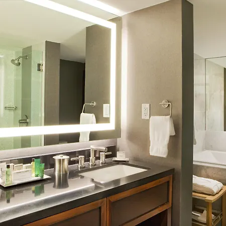Hotel Hilton Downtown 4*