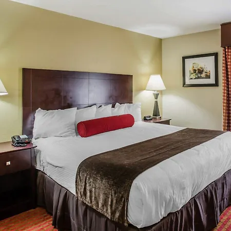 Quality Airport Hotel
