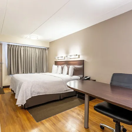 Red Roof Plus+ Airport Hotel 3*