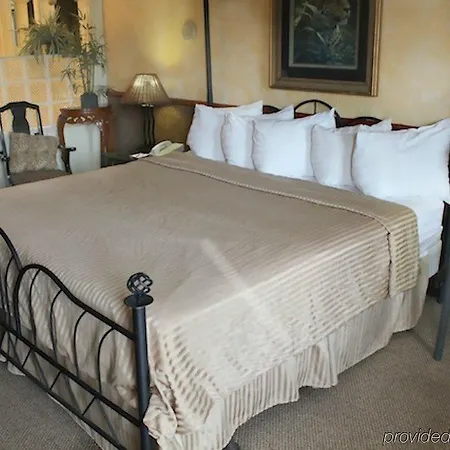 Hotel Rodeway & Nashville