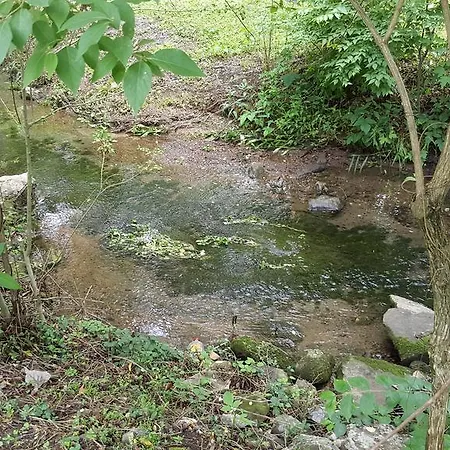 Wisdom House Creek Side