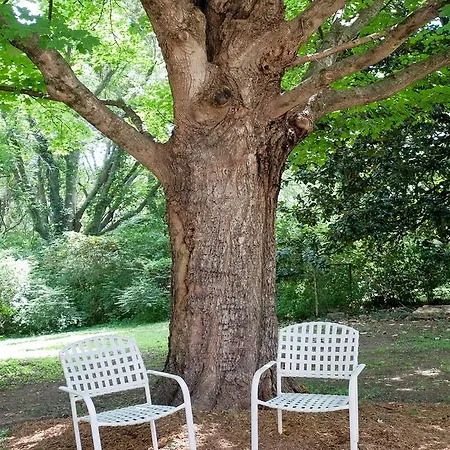 Southern Charm 2 Bedroom In East Guest house *