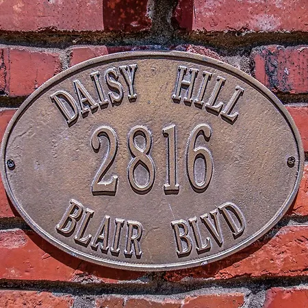 Daisy Hill 3*