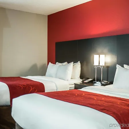 Comfort Airport - Bna Hotel 4*