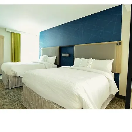 Hotel Springhill By Marriott Downtown/convention Center 3*
