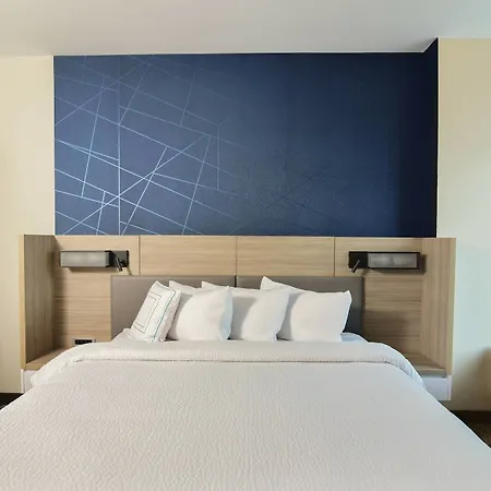 Hotel Springhill By Marriott Downtown/convention Center 3*