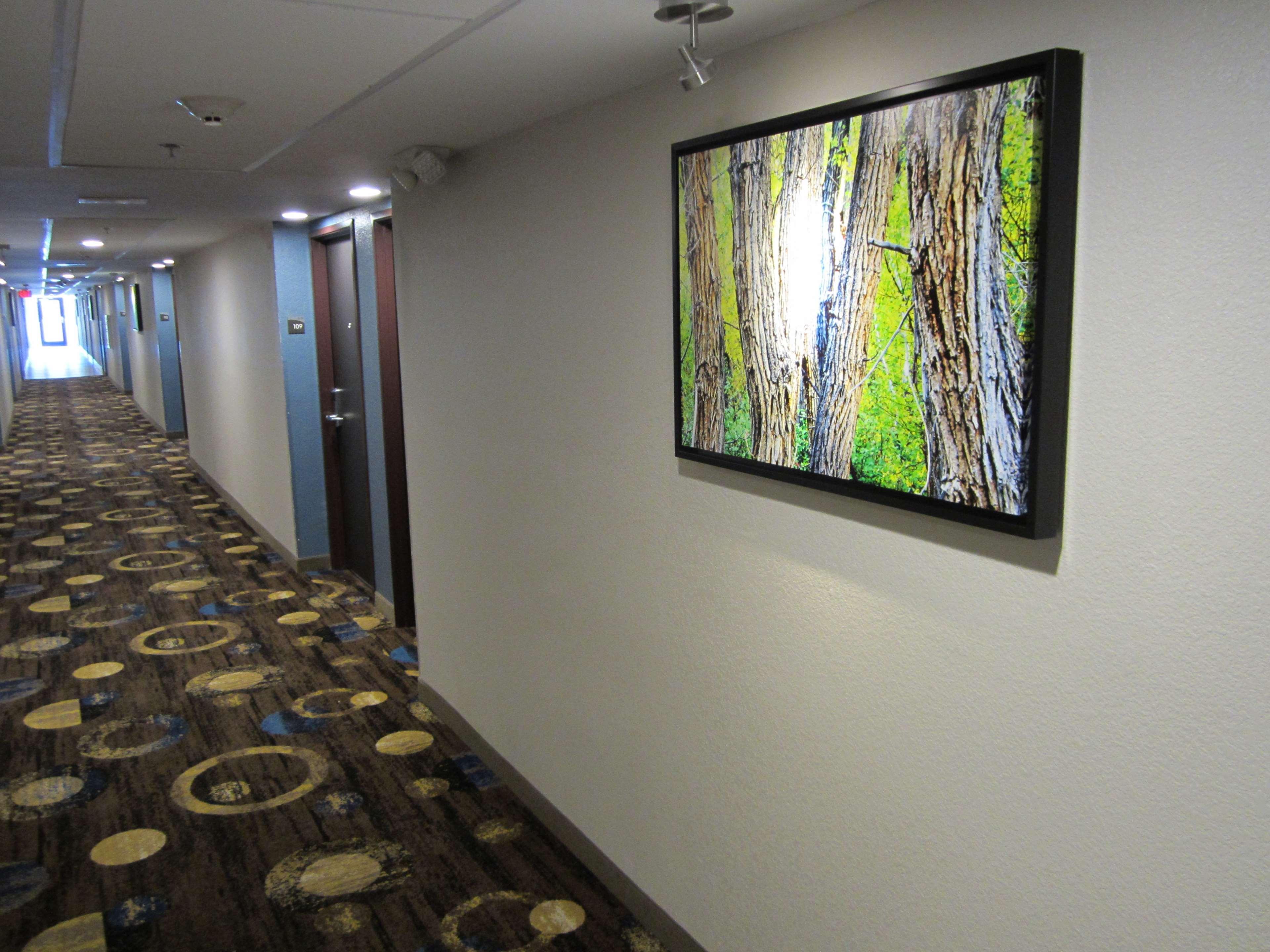 Western Sunrise 3* Nashville