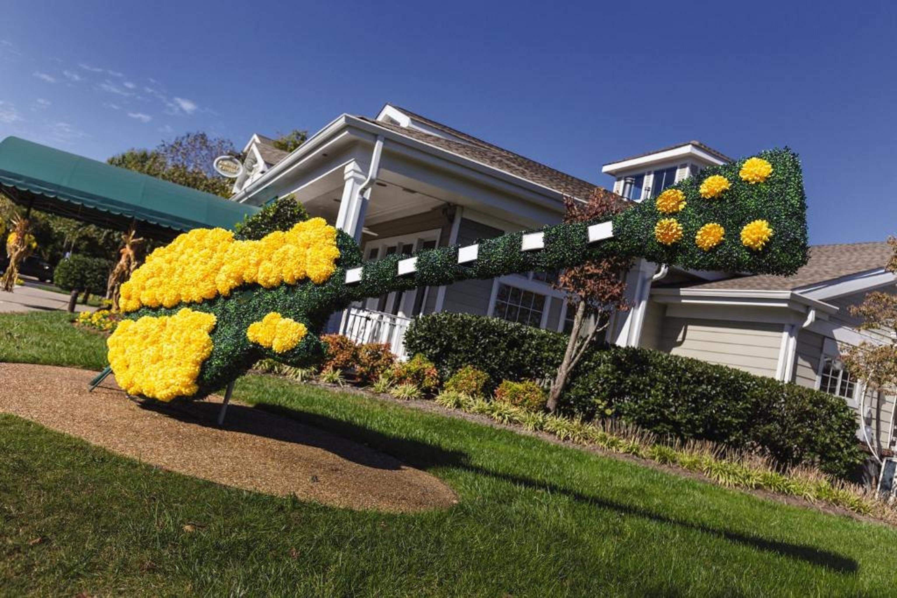 Club Wyndham Resort