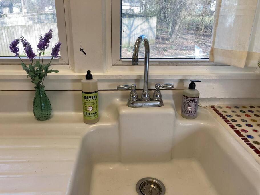 Green 25 Min From Downtown Apartment