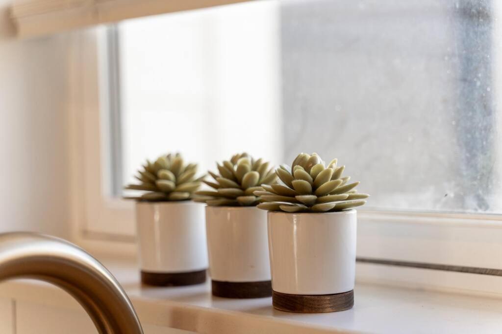 Rooftop Fun, Walk To The Gulch And 12th S Near Broadway Holiday home *