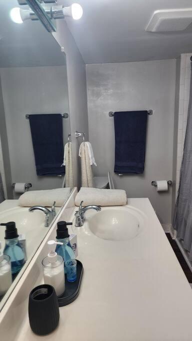 Two Bedroom Near Nashville-downtown Holiday home *