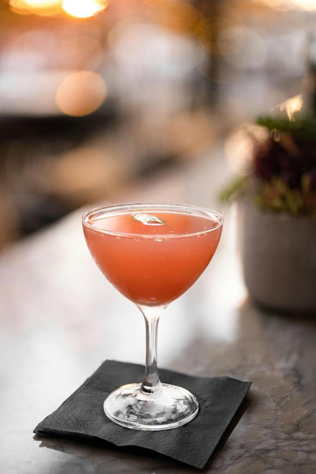 Marriott At Vanderbilt Nashville