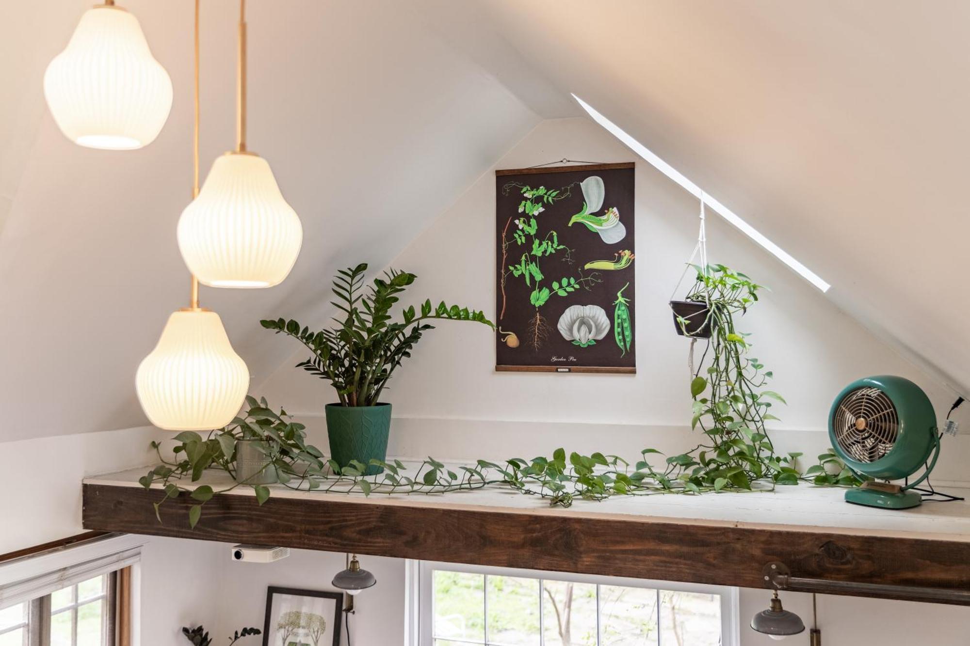 Dreamy Tiny House With Hot Tub And Garden Patio Holiday home