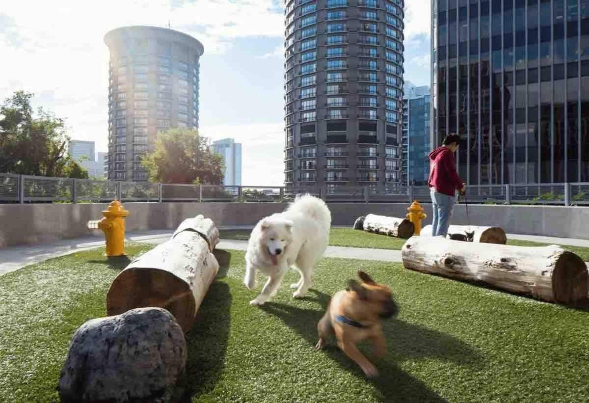 Gulch Luxe With Views Apartment