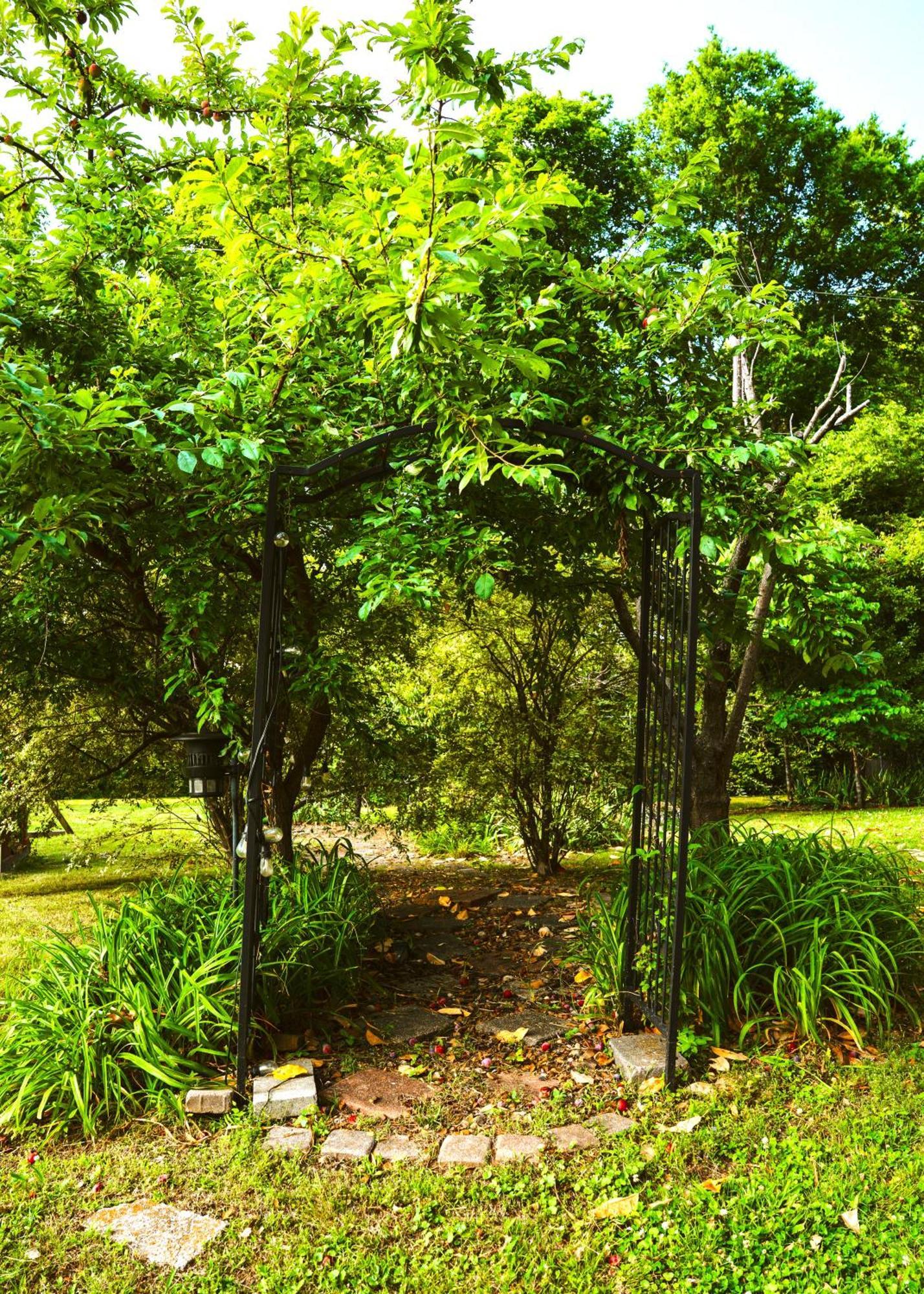 The Magnolia Mansion 6 Minutes To Broadway On 4 Acres Holiday home