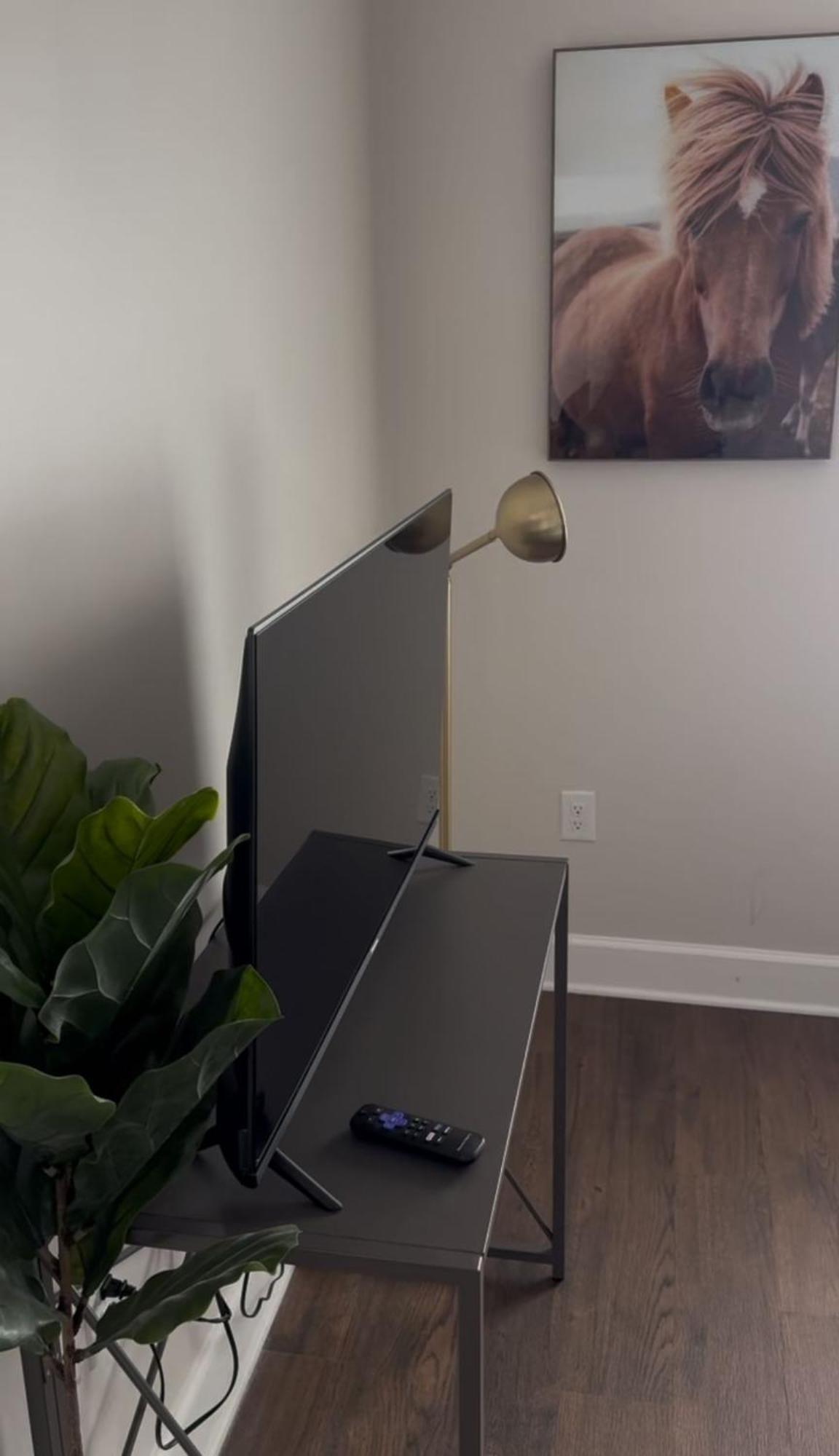 Palatial Abode With Downtown View & Free Parking