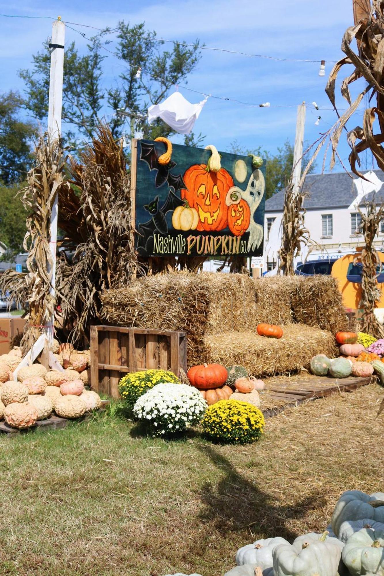Luxury Retreat Near Vanderbilt