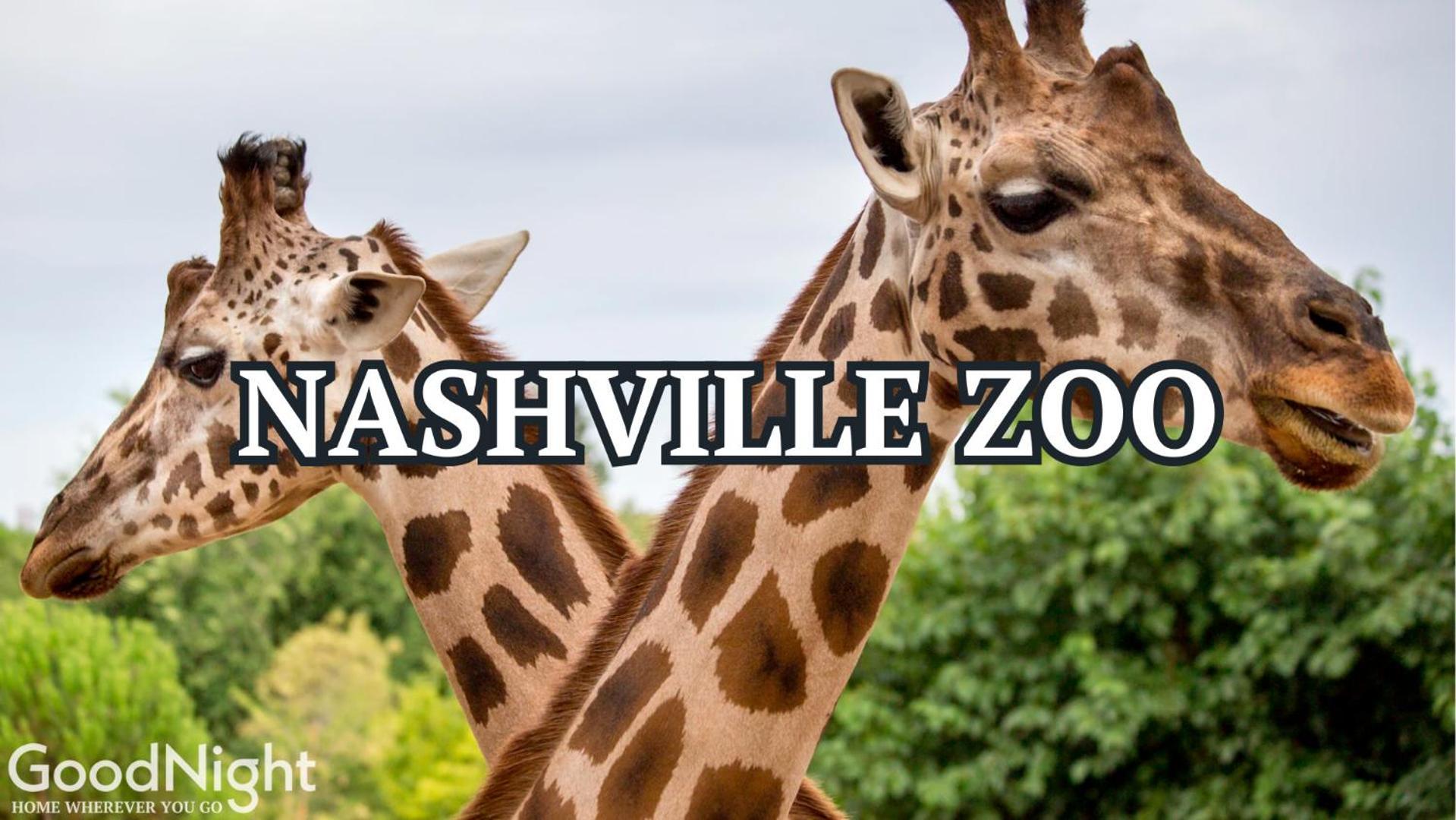 Holiday home Lofts At 30th - Modern Escape - Mins To Broadway Nashville