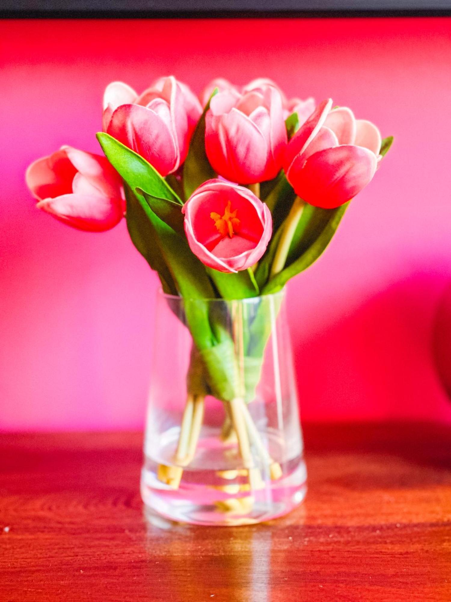 Dolly's Yacht Club - Cozy Retreat Near Broadway * Nashville