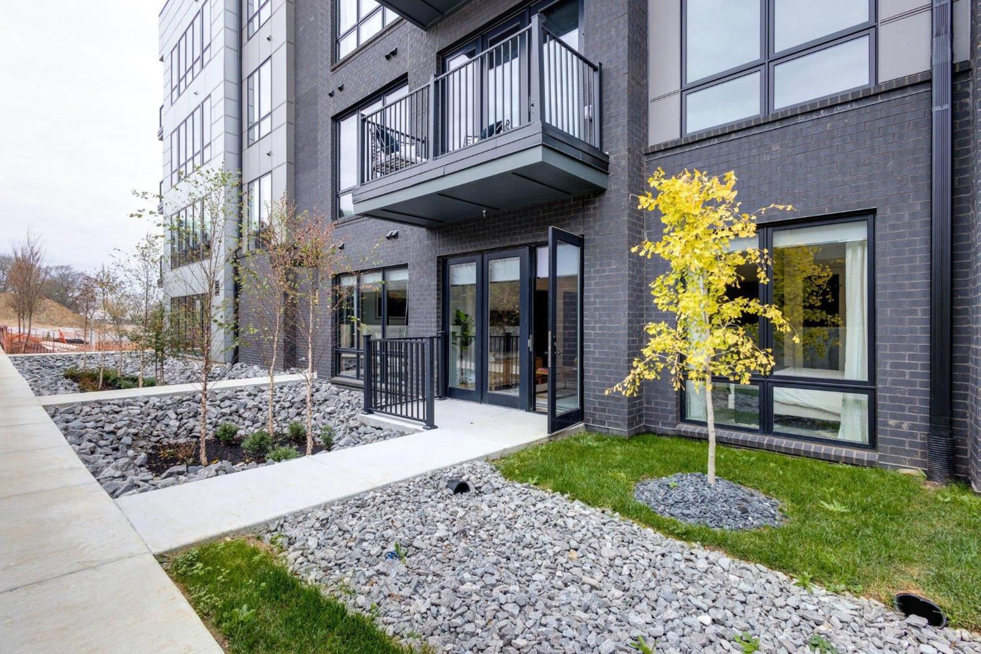 Savanna - Heart Of Midtown - Odyssey At The Park