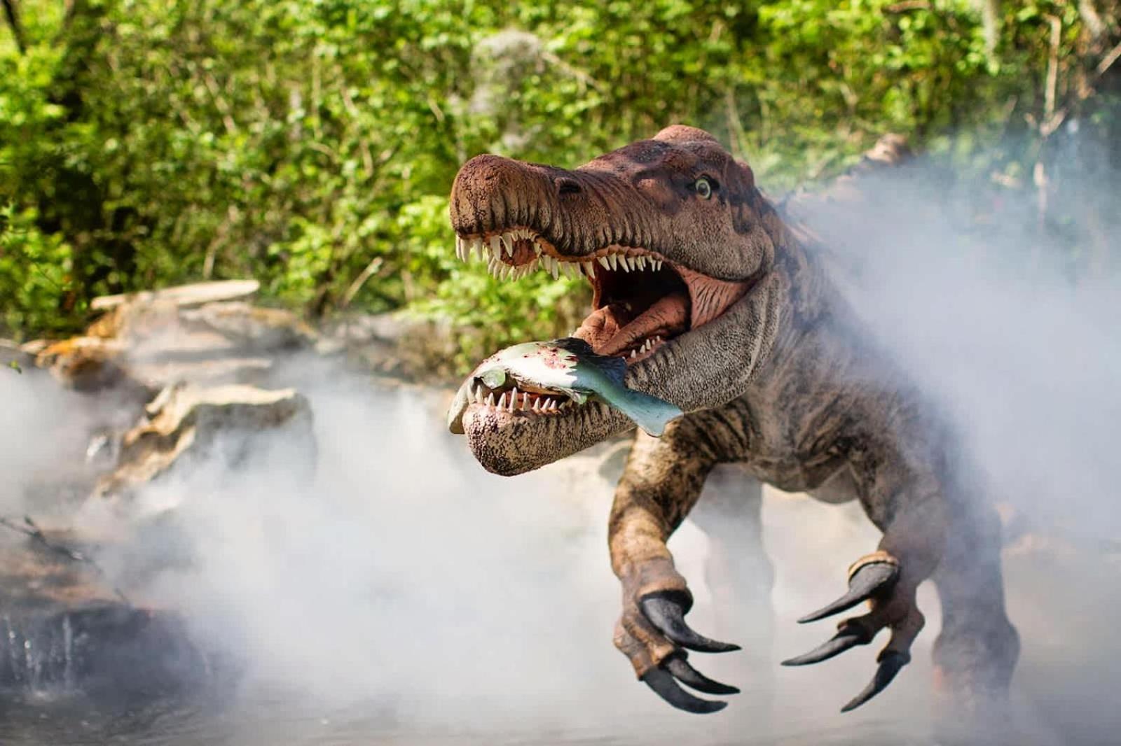 Ada Accessible Dog Friendly With Patio, Yard Ample Parking, Great For Families, 12 Mins To Broadway, 12south, Geodis Park, 24 Hr Hospitality *