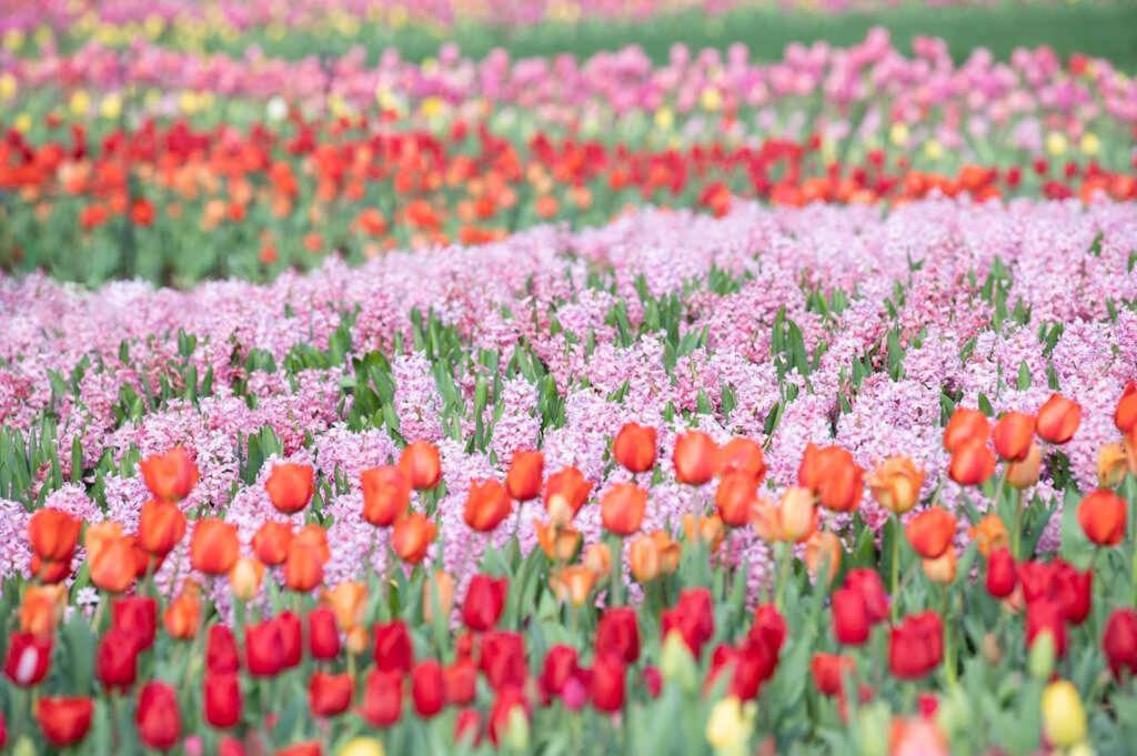 Apartment Soaring Ceilings & King Beds Overlooking Courtyard, 1 Of 7 Themed Lofts At Cowrite, Find Coffee And Tacos Downstairs, Complimentary Spin Class, Walk To Shopping In 12 South, 10 Minutes To Broadway, Parking, 24 Hr Hospitality Nashville