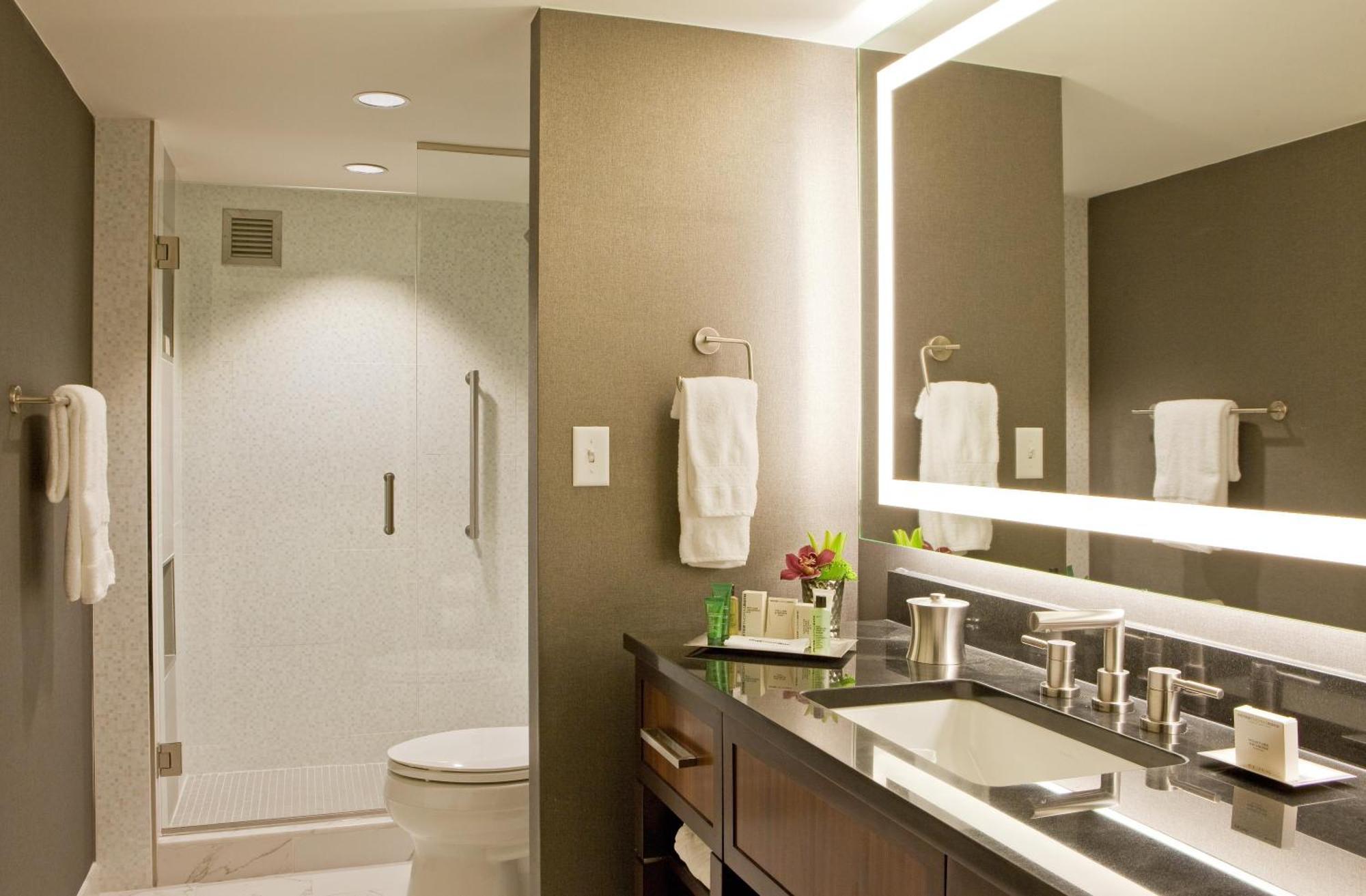 Hotel Hilton Downtown 4*