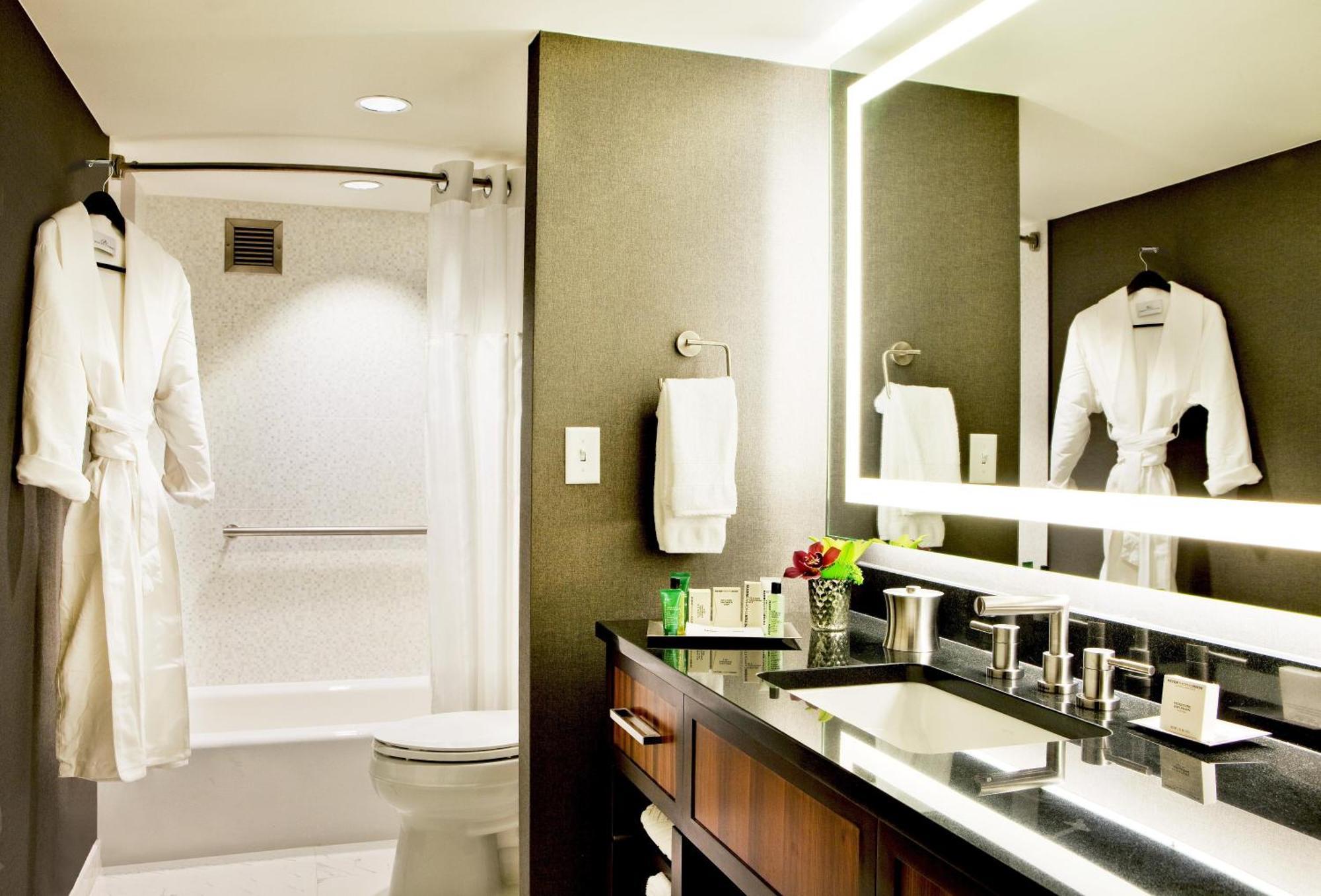 Hotel Hilton Downtown