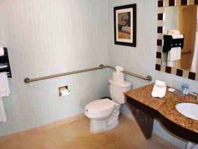 Hotel Hampton & At Opryland 3*