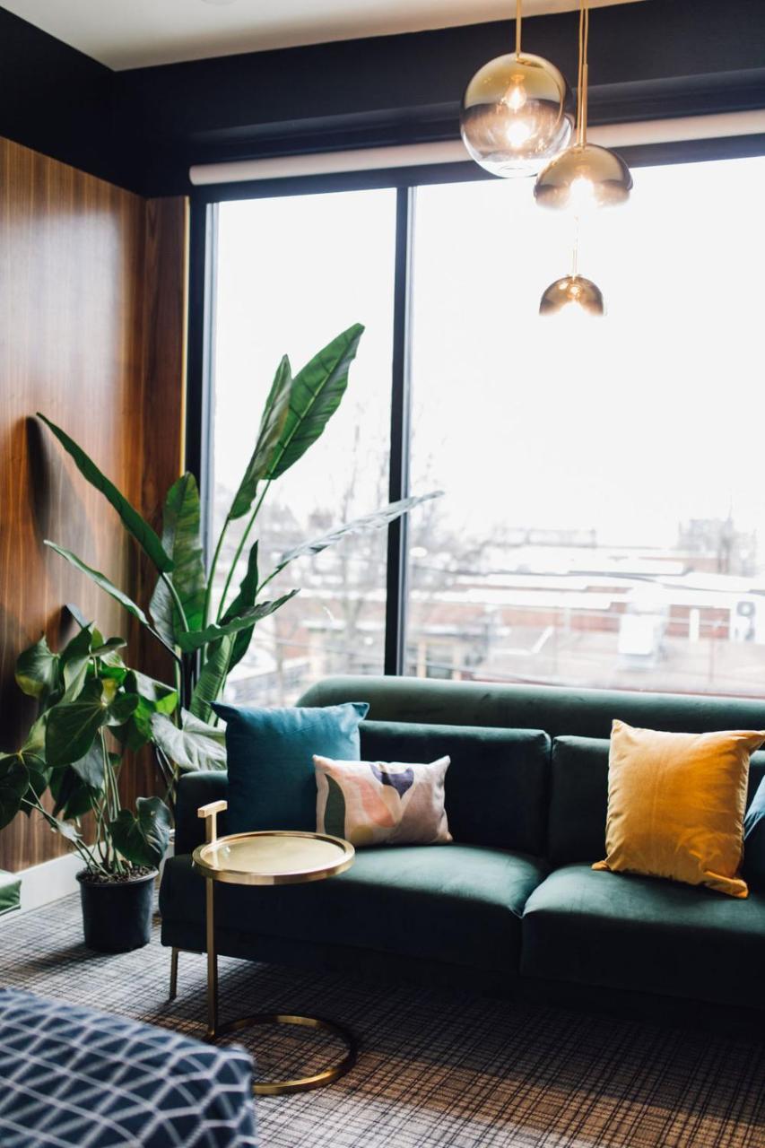 Vandyke Bed & Beverage