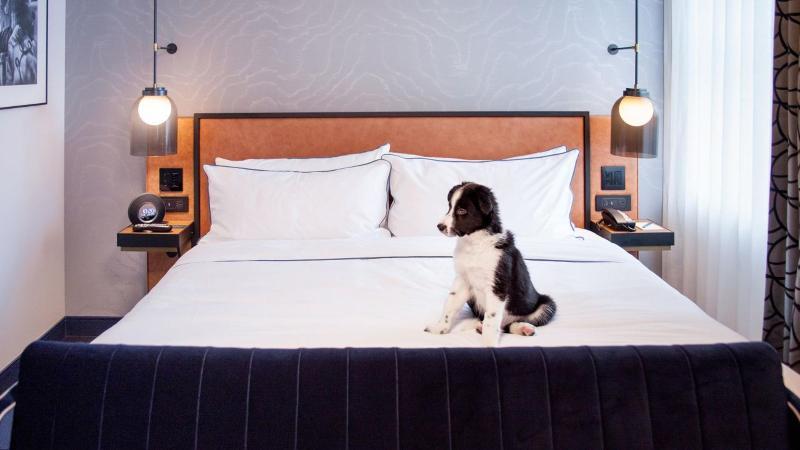 Holston House Nashville, In The Unbound Collection By Hyatt