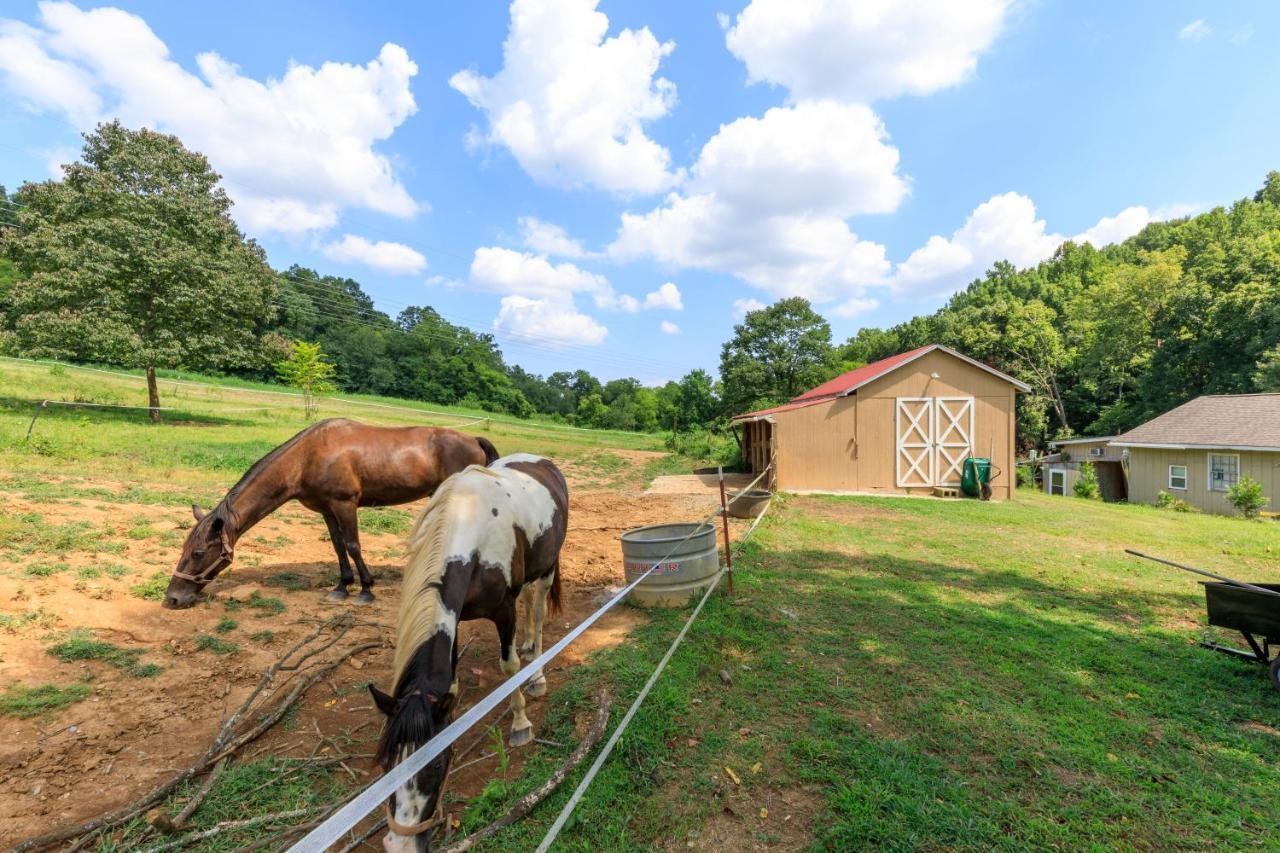 Tn Vacation Apartment Nashville