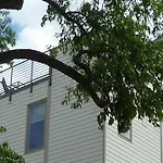 Great Location, Large Home - Roof Deck, Walk To Ni