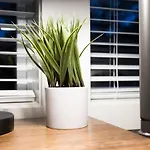 Music City Harmony Beautiful Home Lux Rooftop