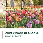 The Cleo - Cozy East Nashville Haven Less Than 15 Min To Dt