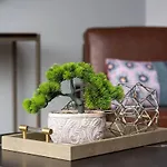 Spacious Nashville Home Sleeps 12 Rooftop Lounge