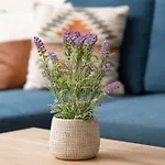 Dollys Dreamhouse, Mean Girls Retreat Unit 8