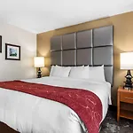 Hotel Comfort & Near Tanger Outlets I-24 Antioch