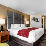 Comfort & Near Tanger Outlets I-24 Antioch Hotel