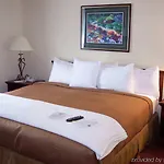 Homewood Airport Hotel 3*