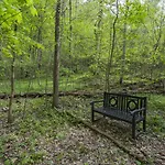 Brenda Lee History 4br Retreat Pool Hot Tub Villa *