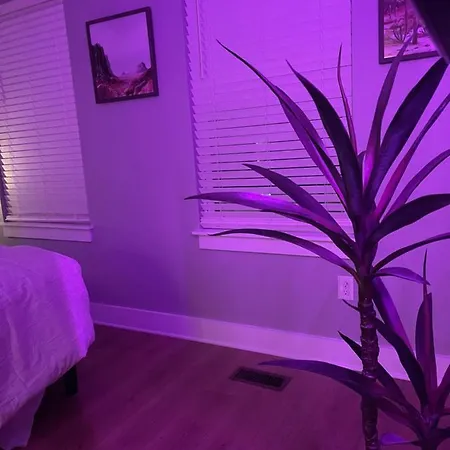 Classy, Cozy, Close To Downtown Apartment