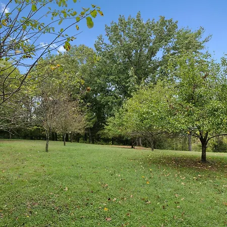 Holiday home Huge Family Wildlife Retreat Close To The Lake Nashville