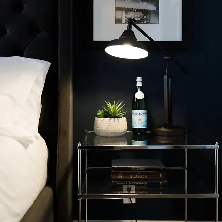 Large Royal Townhome Beautiful Design And Rooftop