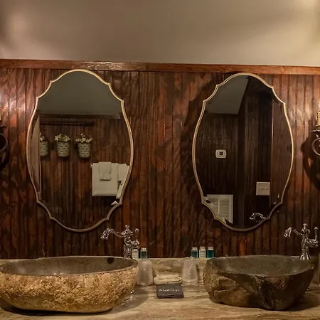 Belle Air Mansion And Bed & Breakfast Nashville
