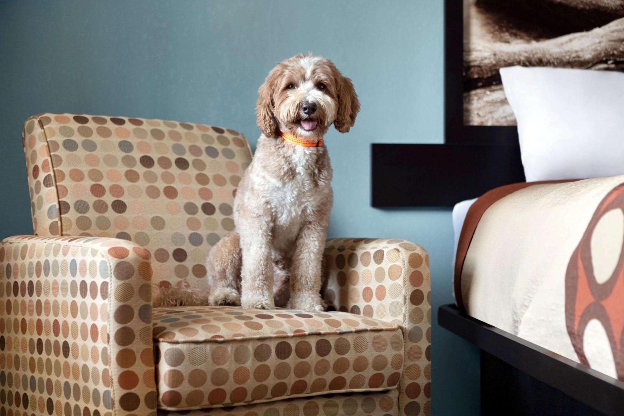 Super 8 By Wyndham Whites Creek/ Nw Area Nashville