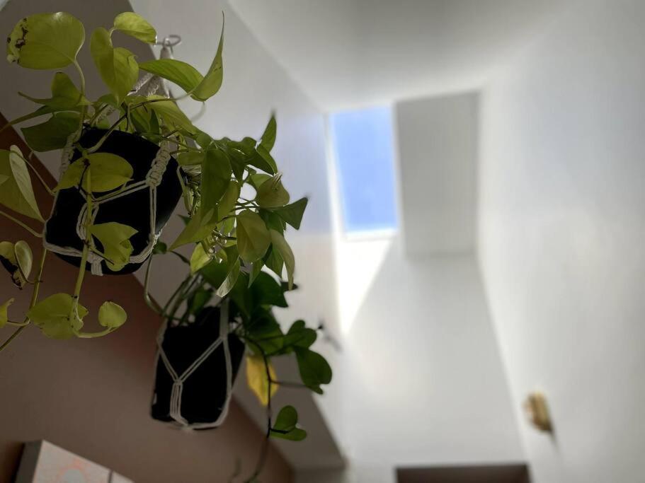 Apartment Everything You Could Ask For In A Nashville