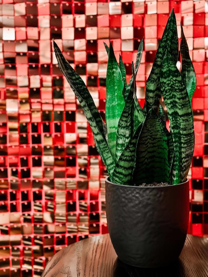 Dolly's Glam Getaway - Glittering Gem Near Broadway Holiday home Nashville